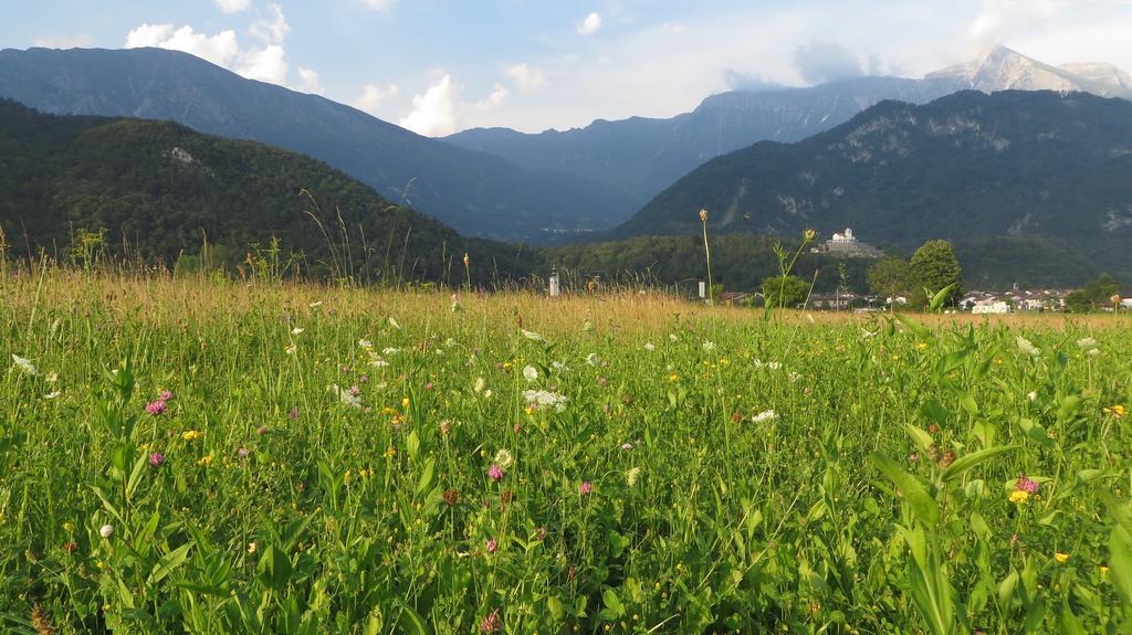 Apartmán Hisa Lescer Kobarid Exteriér fotografie